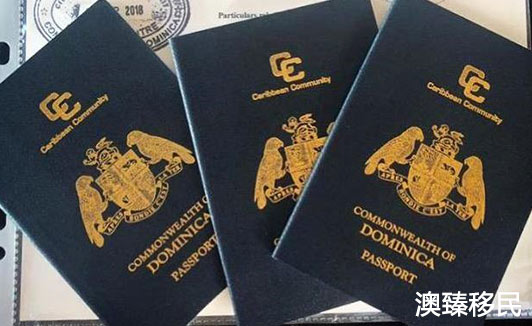 多米尼克护照申请过程中的重要细节，一定要看1.jpg