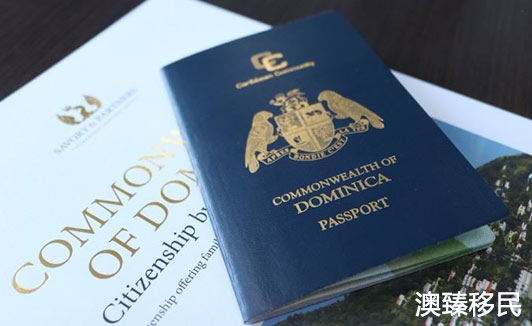 多米尼克护照已成最强大的护照之一，来不及解释了赶快申请吧2.jpg